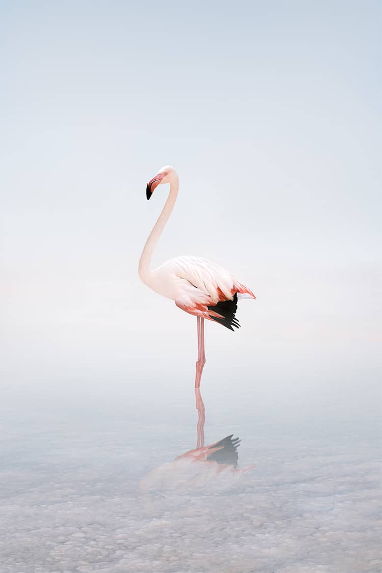 Alice Zilberberg artwork