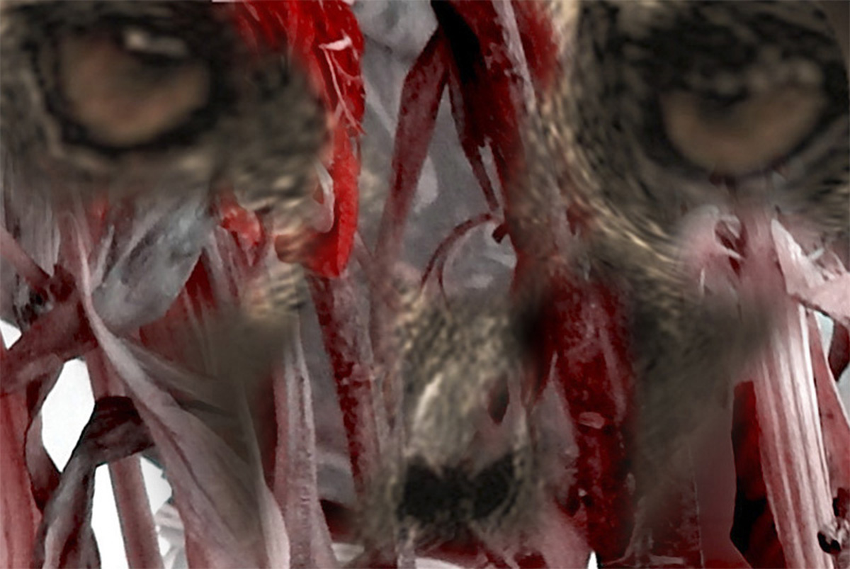 Constance Vepstas artwork