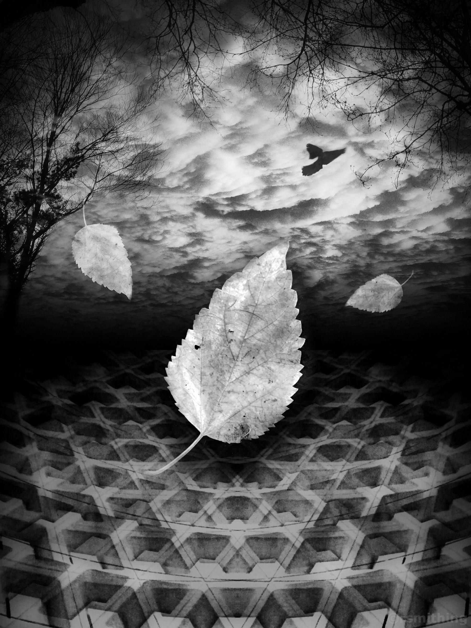 Richard Smith artwork