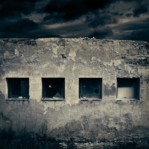 Sarolta Bán artwork