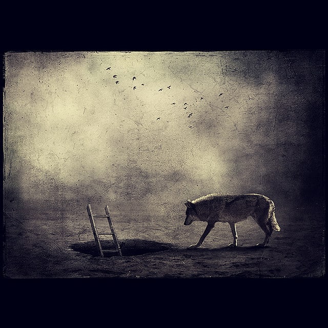 Sarolta Bán artwork