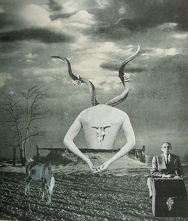 Toshiko Okanoue artwork