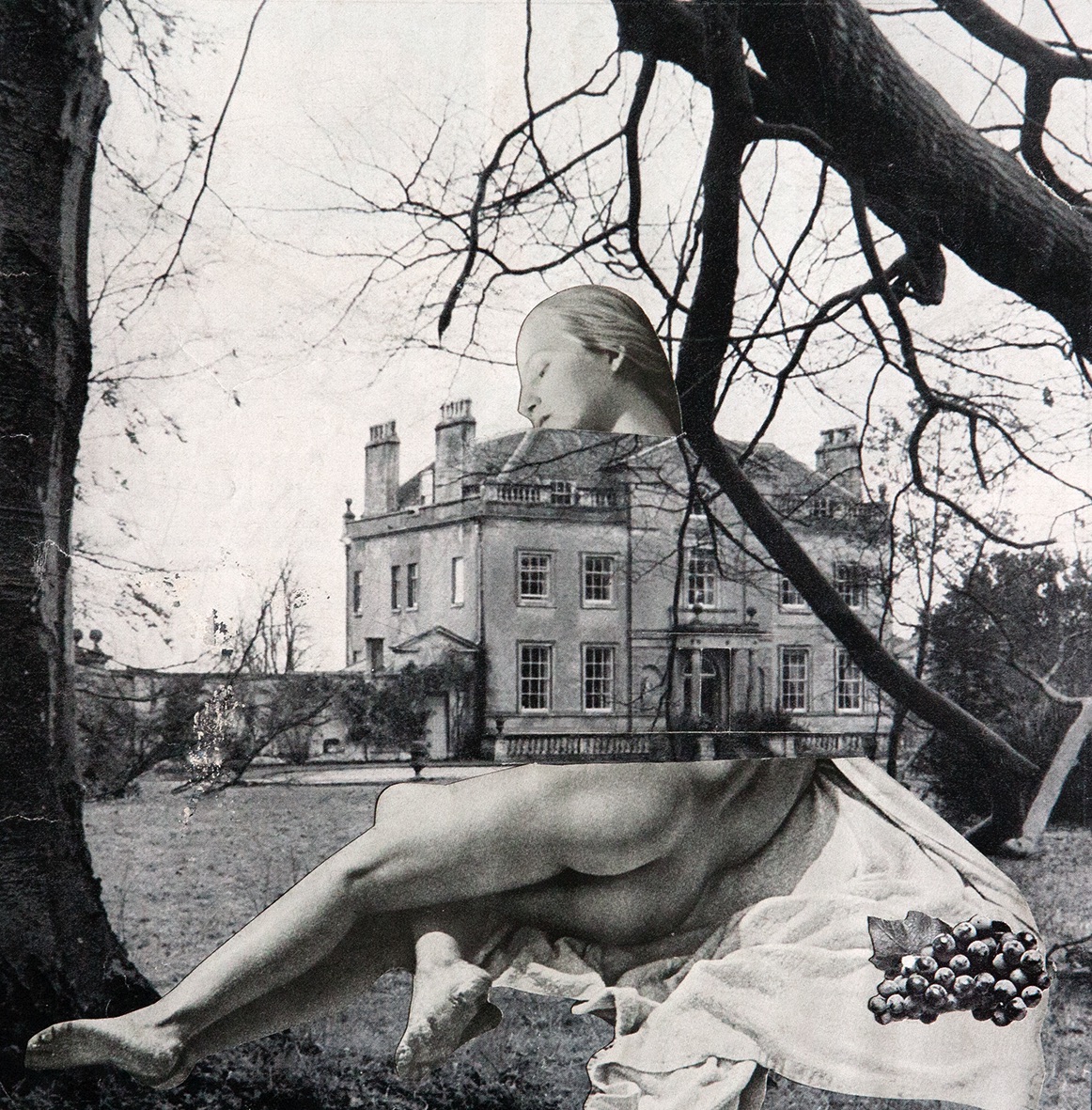 Toshiko Okanoue artwork