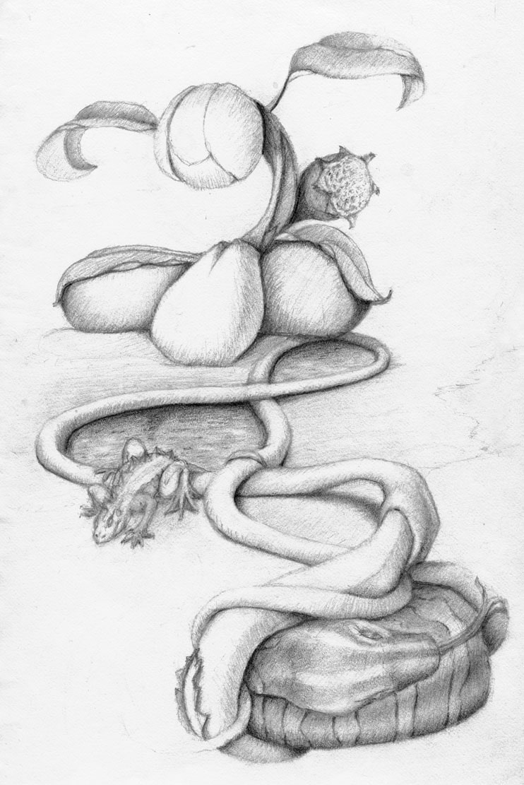 Virginia Stewart artwork