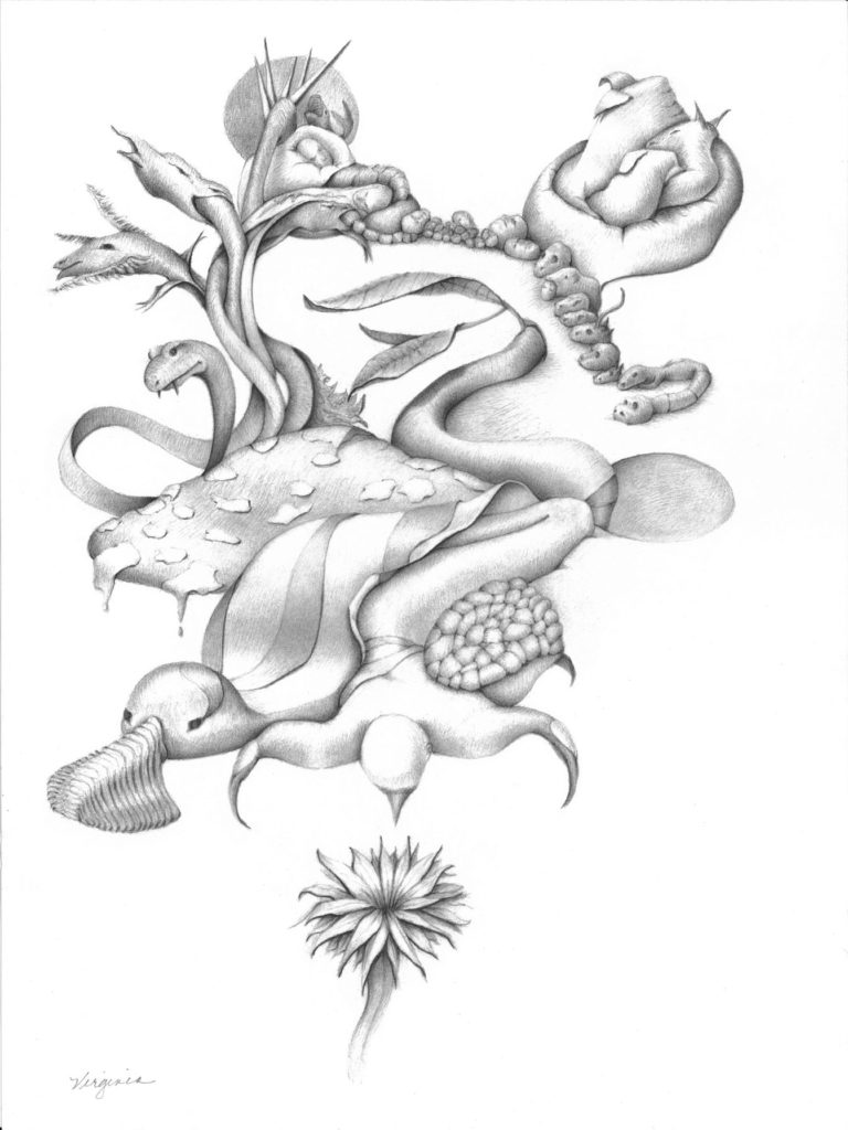 Virginia Stewart artwork