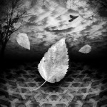 Autumn Underground - Richard Smith